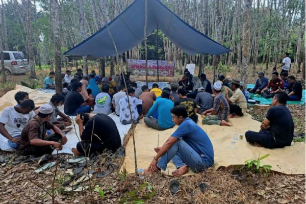 1.200 Hektare Kebun Karet di Tabalong Terserang Penyakit Gugur Daun