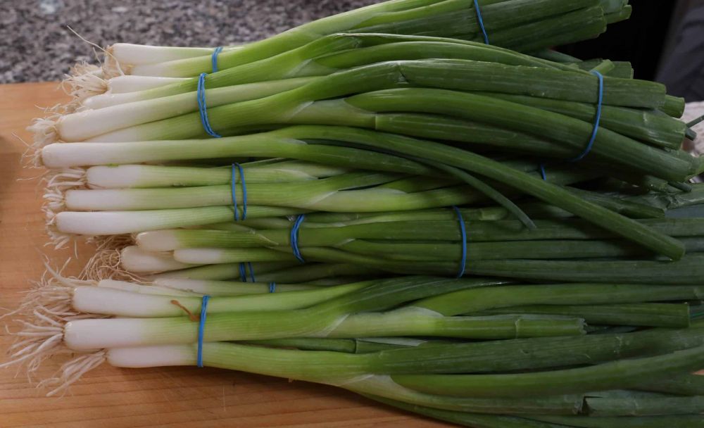 Scallions Vs Green Onions, Apa Perbedaannya?