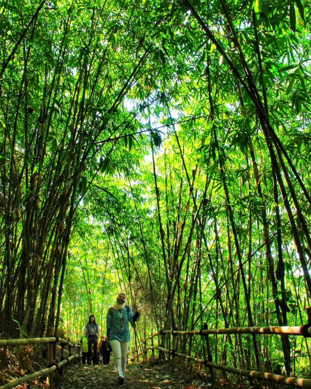 5 Destinasi Wisata di Kawasan Bandung Timur, Ada Hutan Bambu Juga