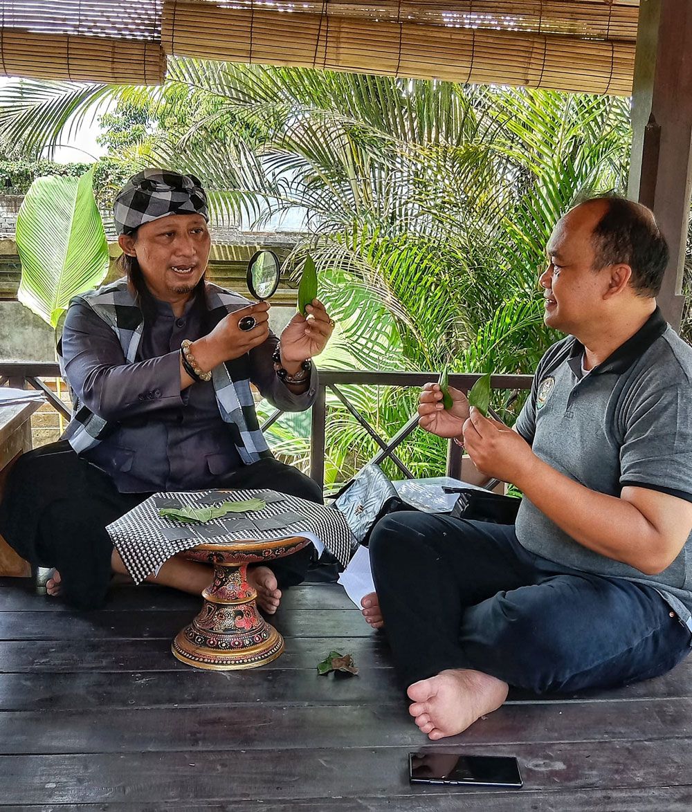 Ramalan 2023 Menurut Tenung Daun Sirih, Ramalan Kuno di Bali