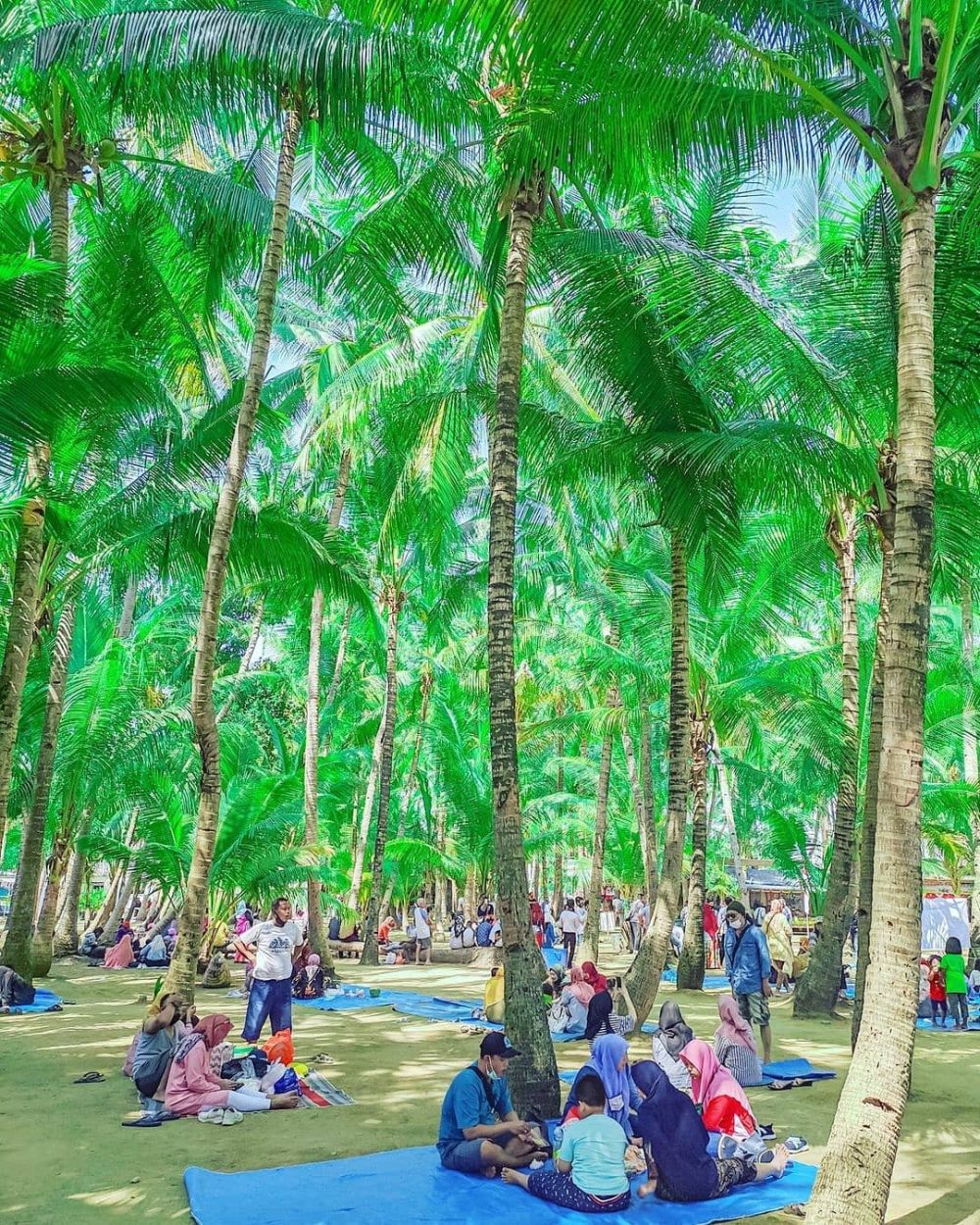Pantai Kelapa Tuban: Info dan Harga Tiket