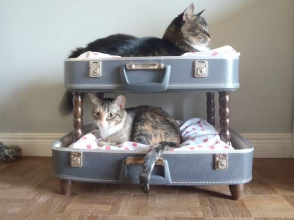 9 Produk DIY dari Koper Bekas, Ada Tempat Tidur Kucing!