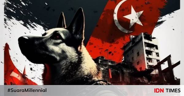 Tewas Saat Bertugas Di Turki, Anjing Proteo Disebut Pahlawan