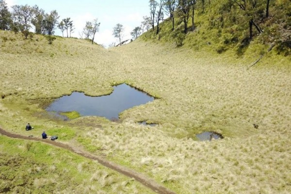 9 Potret Sabana Gunung Lawu, Indahnya Bikin Terpukau!