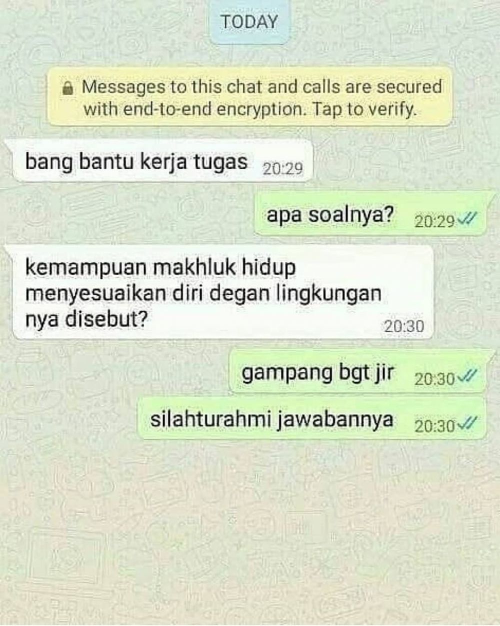 9 Chat Tanya Jawab Yang Bikin Ngakak Kocak Abis