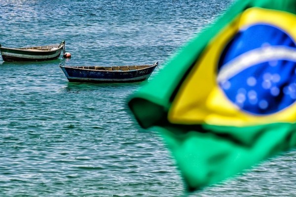 Menteri Lingkungan Brasil Menyerukan Jair Bolsonaro untuk Diselidiki