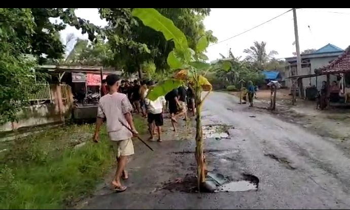 Protes Jalan Wisata Rusak Parah, Warga Jerowaru Tanam Pohon Pisang