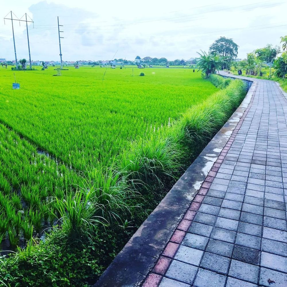 6 Tempat Jogging di Denpasar, Olahraga Sambil Refreshing