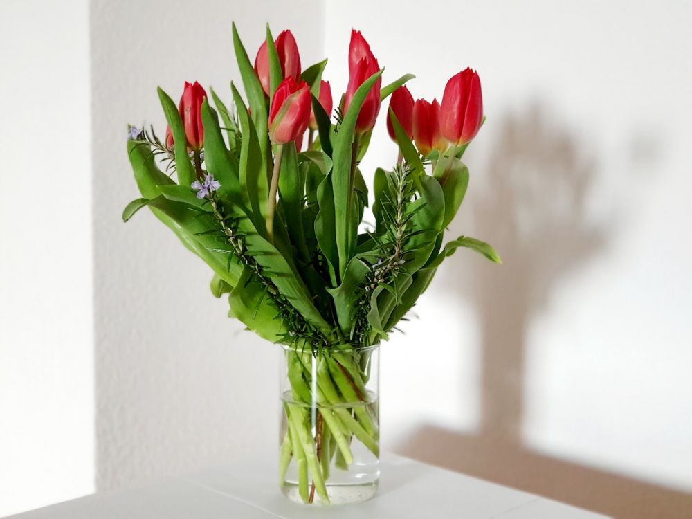 5 Bunga yang Bisa Diberikan di Hari Valentine Selain Mawar