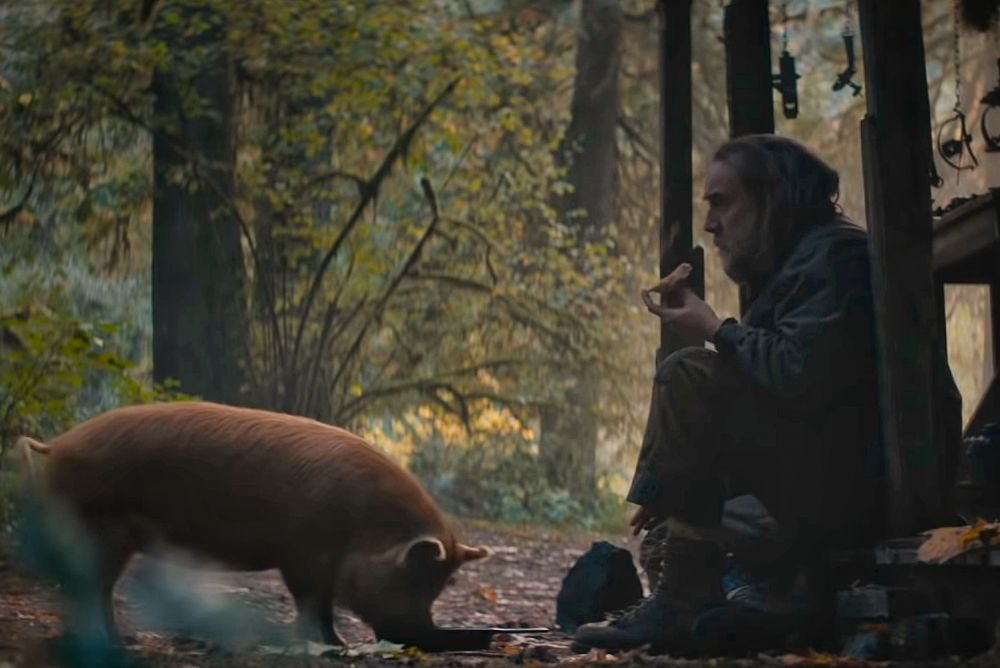 5 Film Bercerita Hubungan Hewan dan Manusia, Terbaru Cocaine Bear