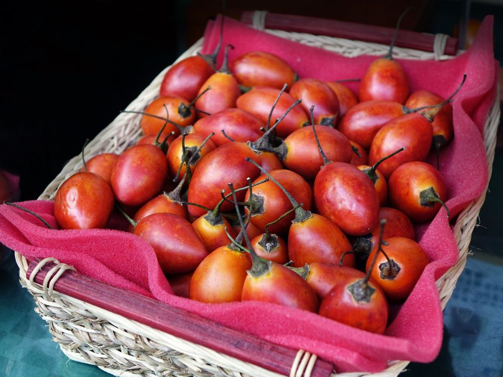 9 Fakta Terung Belanda, Buah Rendah Kalori yang Baik untuk Jantung 