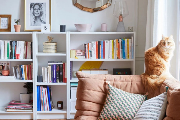 10 Inspirasi Menghadirkan Ruang Baca di Rumah, Cozy dan Artsy!