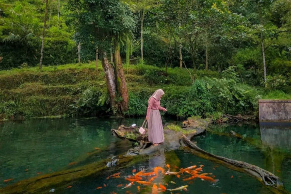 10 Potret Mata Air Umbul Mudal Slukatan Wonosobo, Segar Sejuk di Mata