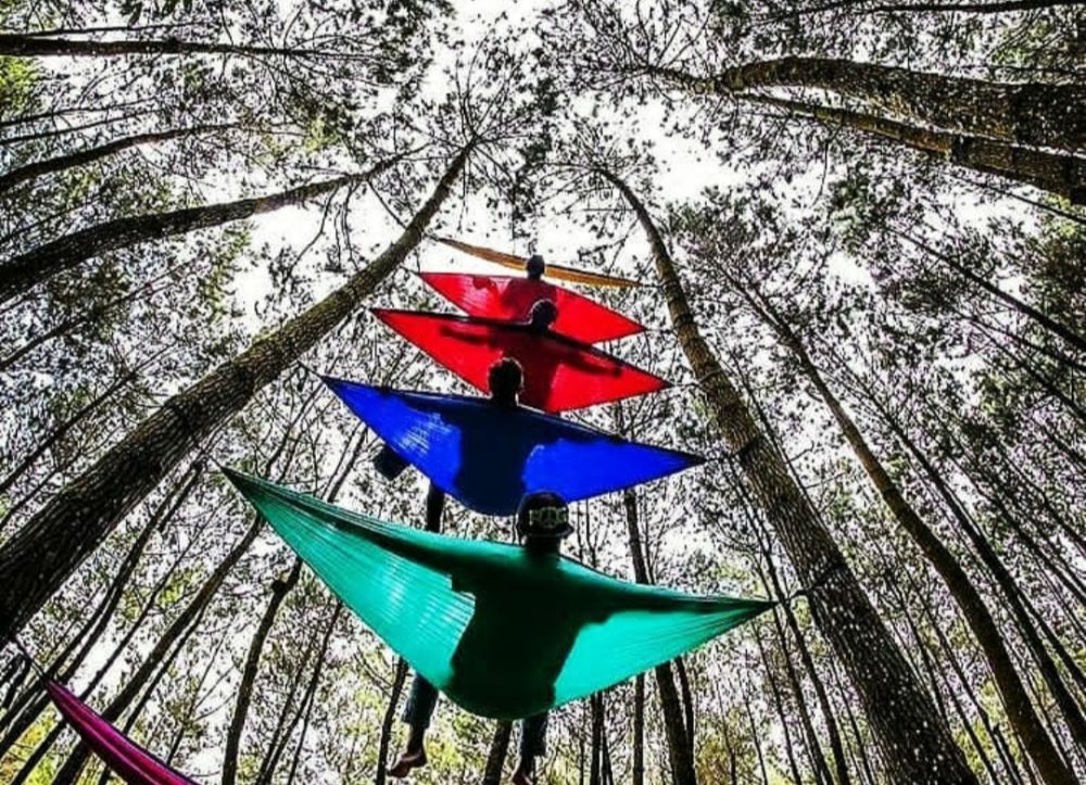 10 Potret Top Selfie Kragilan, Hutan Pinus Magelang untuk Ngabuburit