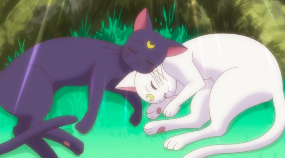 10 Karakter Kucing dari Anime Terpopuler, Unik dan Menggemaskan!
