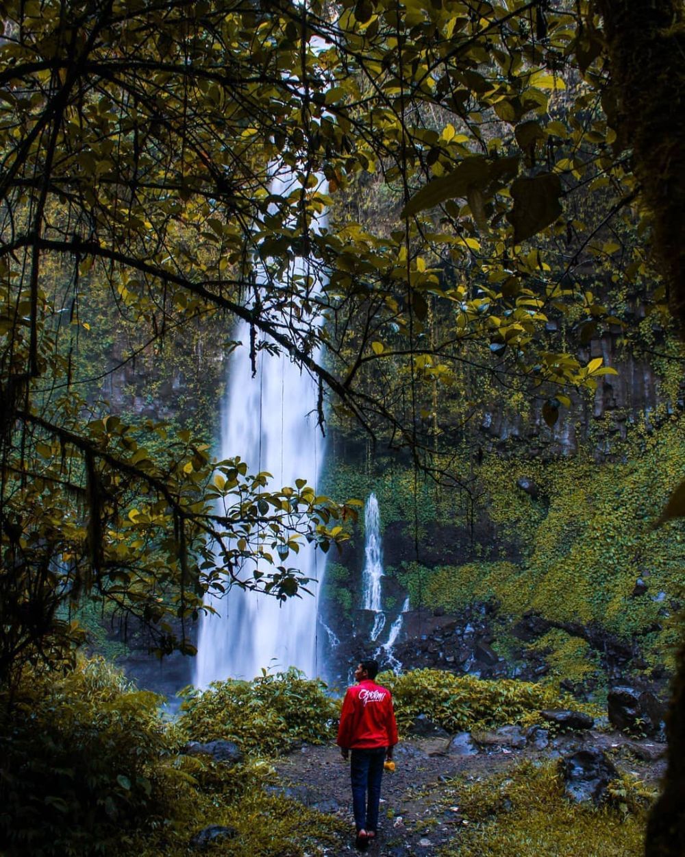 Air Terjun Lider Banyuwangi: Informasi Rute, Harga, dan Tips