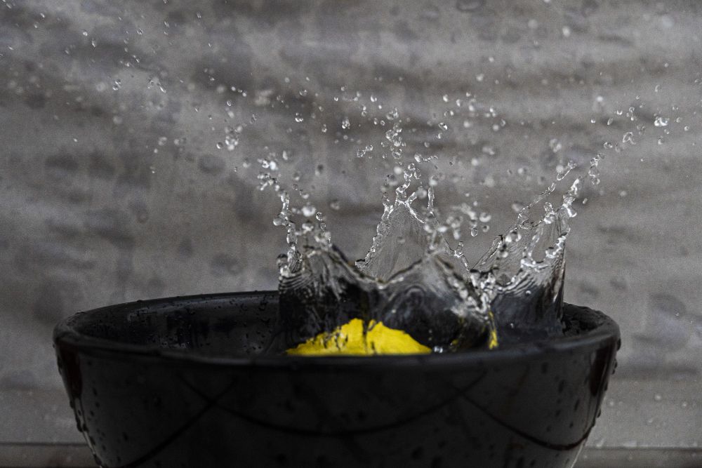 7 Cara Menghilangkan Bau Tak Sedap yang Membandel di Dapur