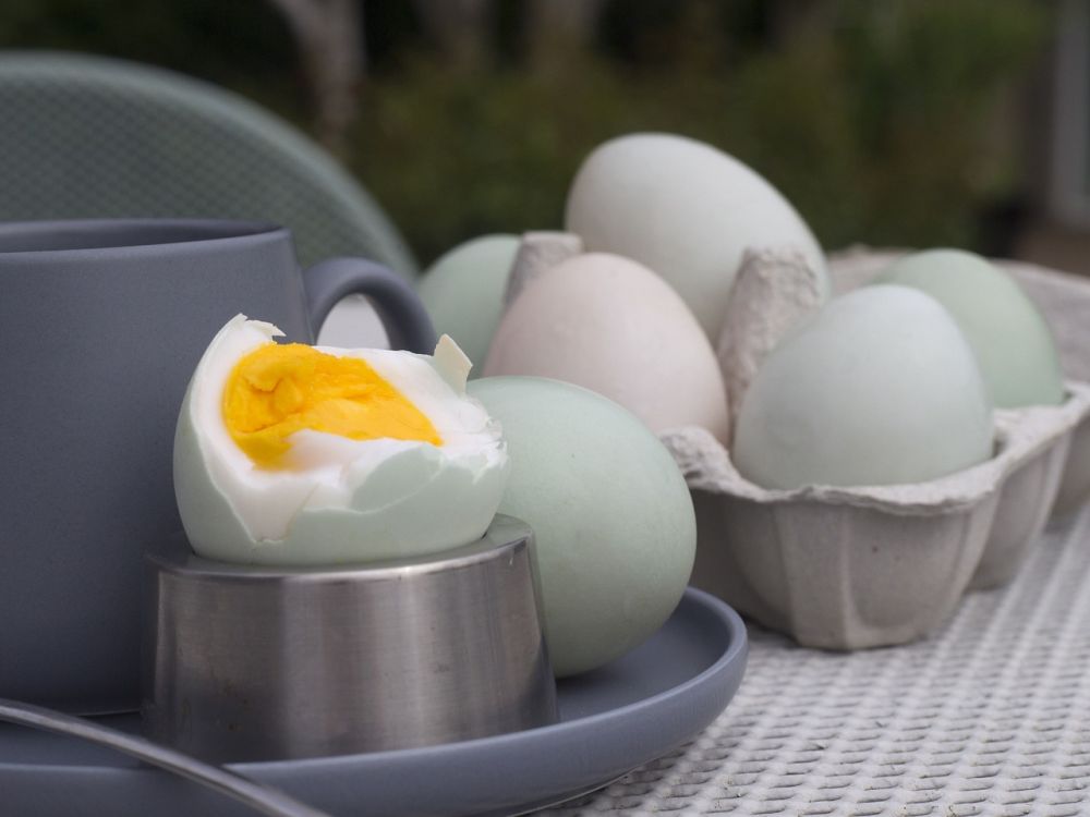 5 Manfaat Telur Bebek untuk Kesehatan, Protein untuk Mata dan Libido