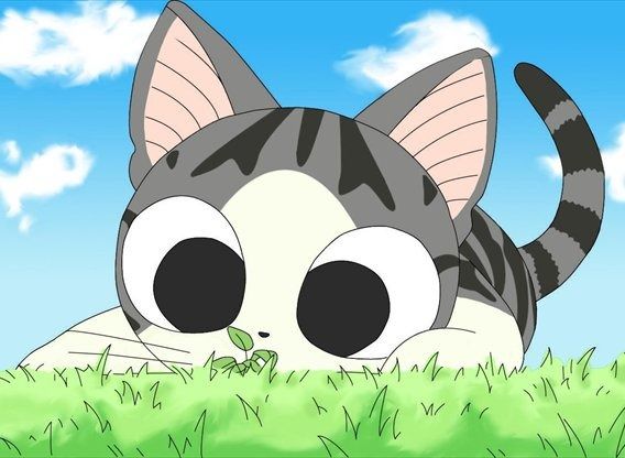 10 Karakter Kucing dari Anime Terpopuler, Unik dan Menggemaskan!