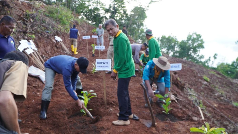 Gunungkidul Kembangkan Tanaman Kopi, Gunakan Lahan 5,6 Hektare 