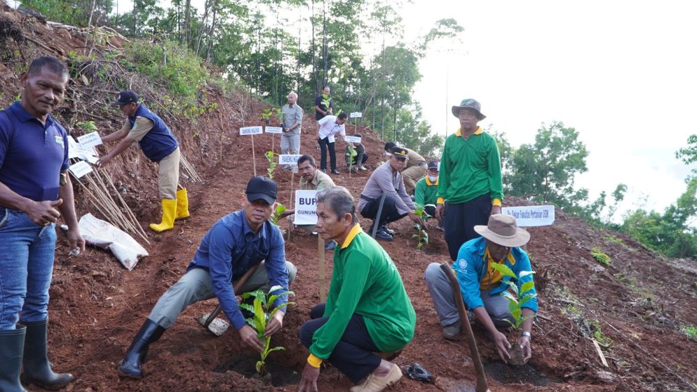 Gunungkidul Kembangkan Tanaman Kopi, Gunakan Lahan 5,6 Hektare 