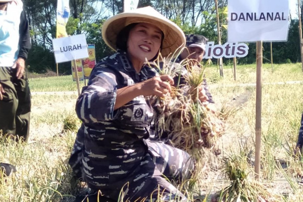 DPKP DIY: Lahan Pasir Solusi Penyusutan Lahan Pertanian