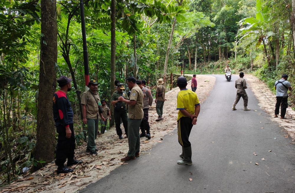 BKSDA NTB Pasang Perangkap Monyet yang Teror Warga Lombok Timur