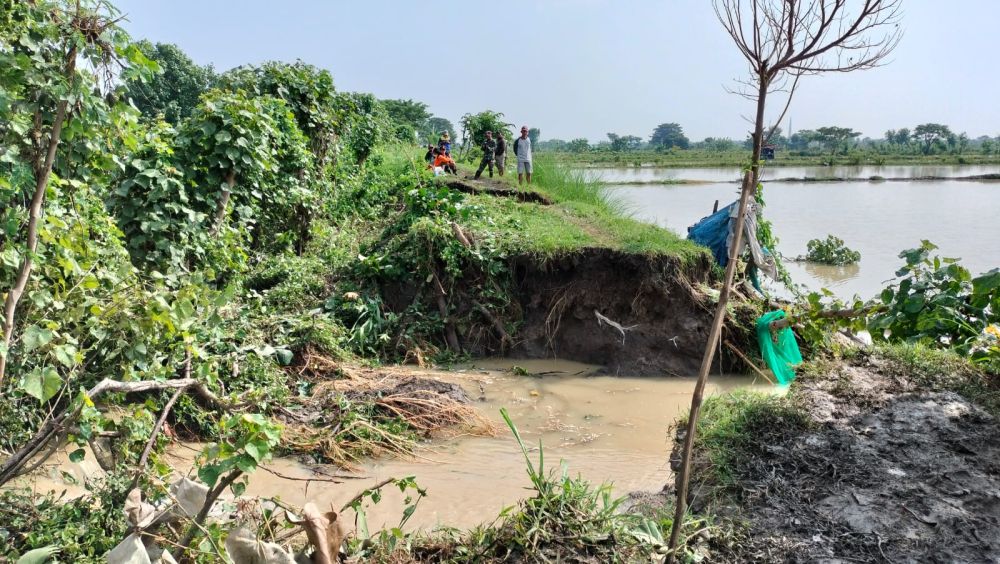 Tanggul Di Lamongan Jebol