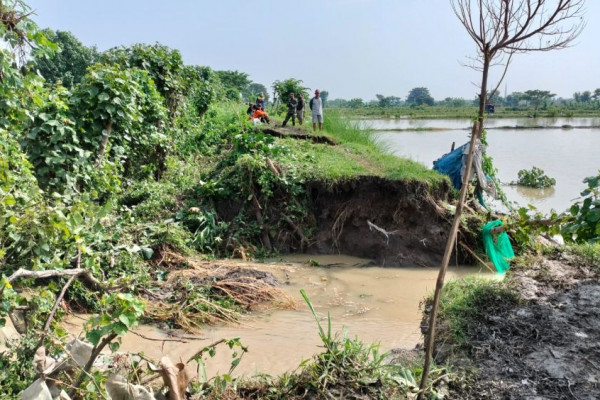 Tanggul Di Lamongan Jebol