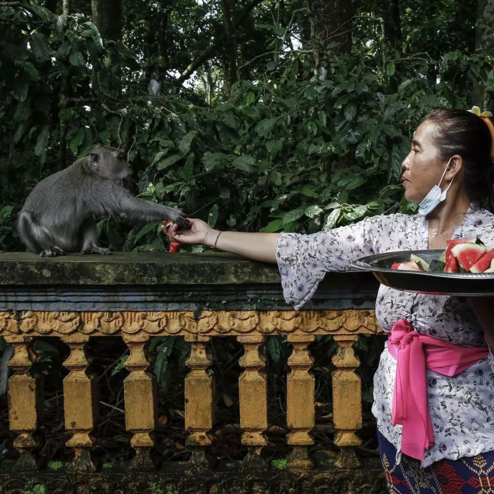 10 Potret Tumpek Kandang untuk Hewan Peliharaan di Bali