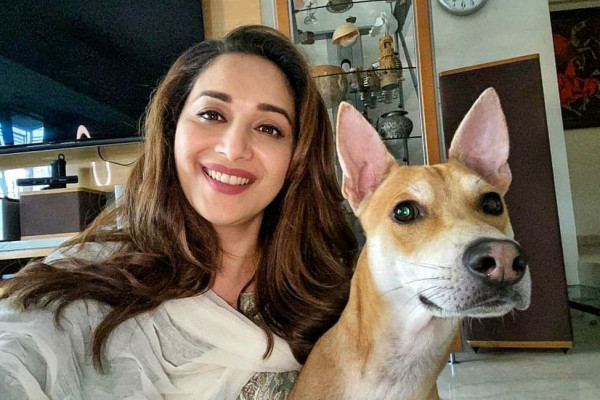 9 Potret Kedekatan Madhuri Dixit dan Anjing Peliharaannya