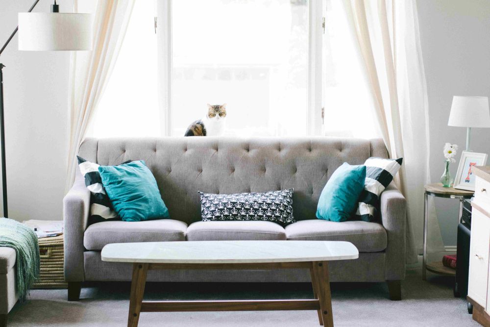 6 Tips Membuat Sofa Tampil lebih Estetik dan Nyaman, Tampil Beda! 