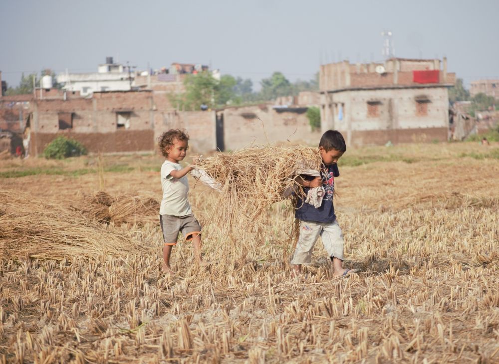 10 Kata Penyemangat Hidup ala Anak Petani, Sangat Menginspirasi