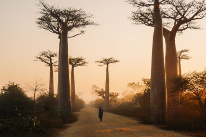 5 Hal Menarik saat Mengunjungi Madagaskar, Kerap Dianggap Underrated