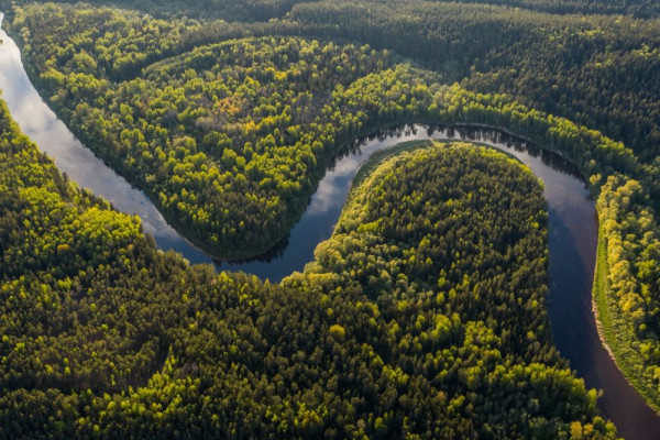 5 Fakta Sungai Amazon yang Perlu Kamu Tahu, Catat!