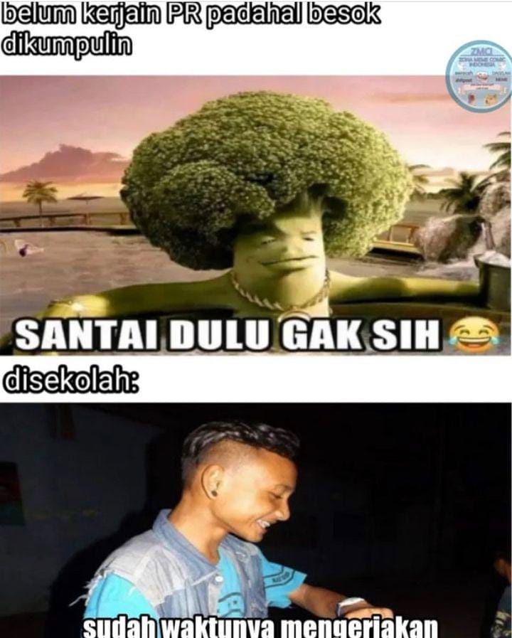 10 Meme Kocak Brokoli Santai Dulu Gak Sih