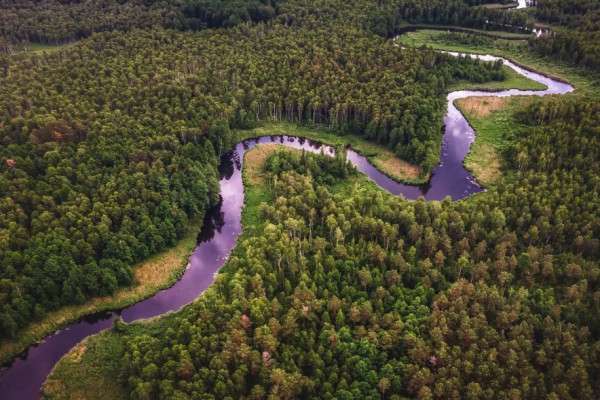 8 Negara Amerika Selatan Sepakat Lindungi Hutan Hujan Amazon