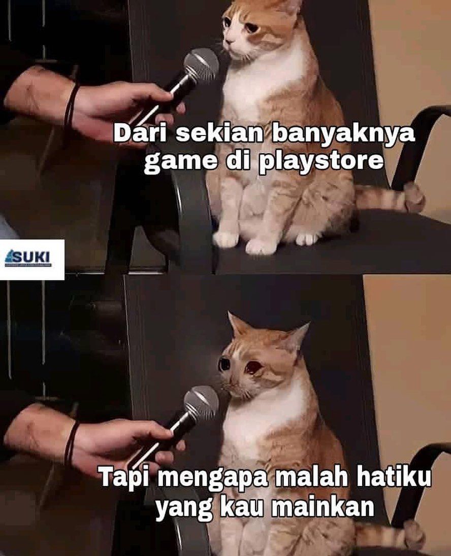 10 Meme Tingkah Kucing yang Mirip Kelakuan Manusia, Kocak!