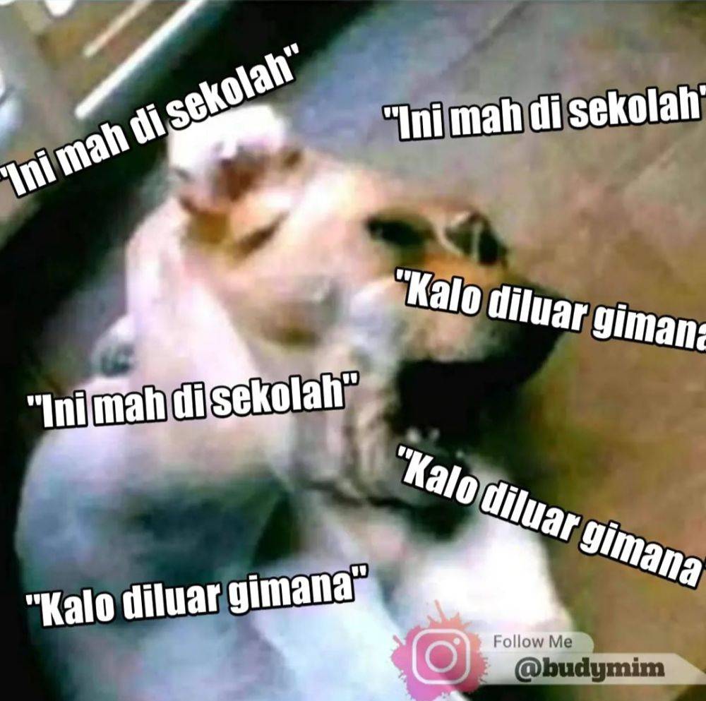 9 Meme Terngiang-ngiang Suara Berulang Ini Bikin Pusing