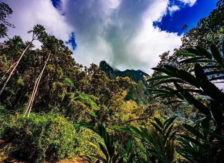 10 Destinasi Wisata Terindah di Madagaskar, Surganya Pecinta Alam