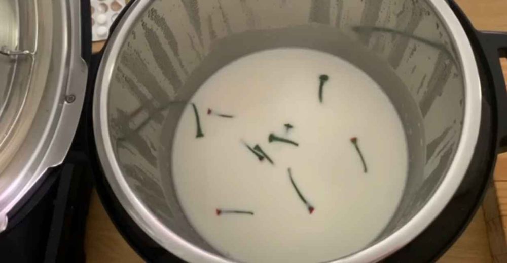 Resep Homemade Yoghurt Pakai Starter Cabai, Gampang!
