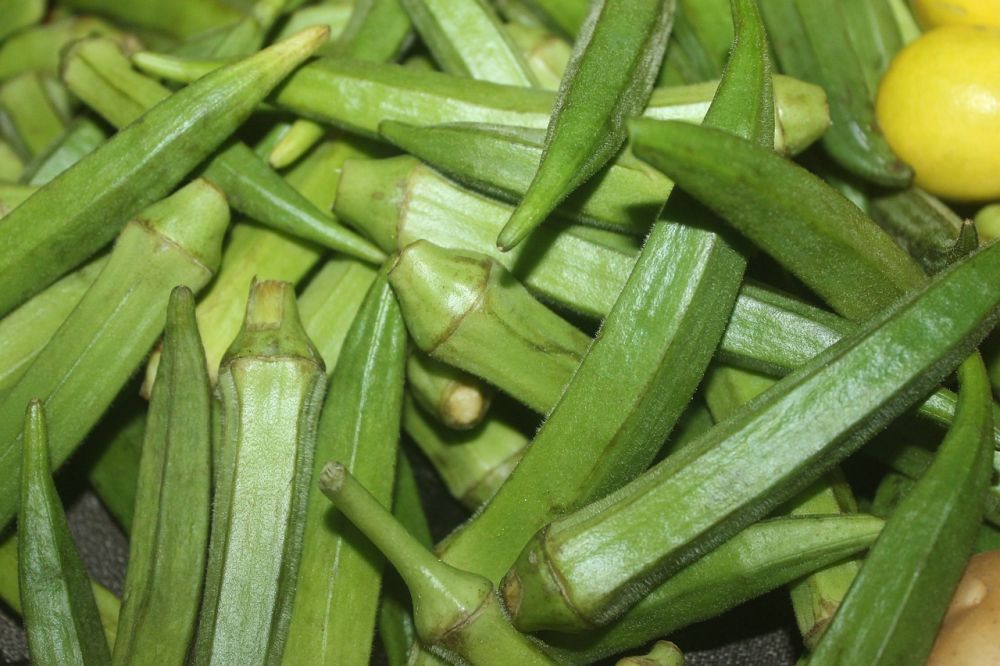 5 Fakta Okra, Sayuran Berlendir Yang Kaya Nutrisi