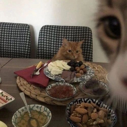 9 Potret Lucu Kucing Ketahuan Diam-diam Ngambil Makanan Majikan