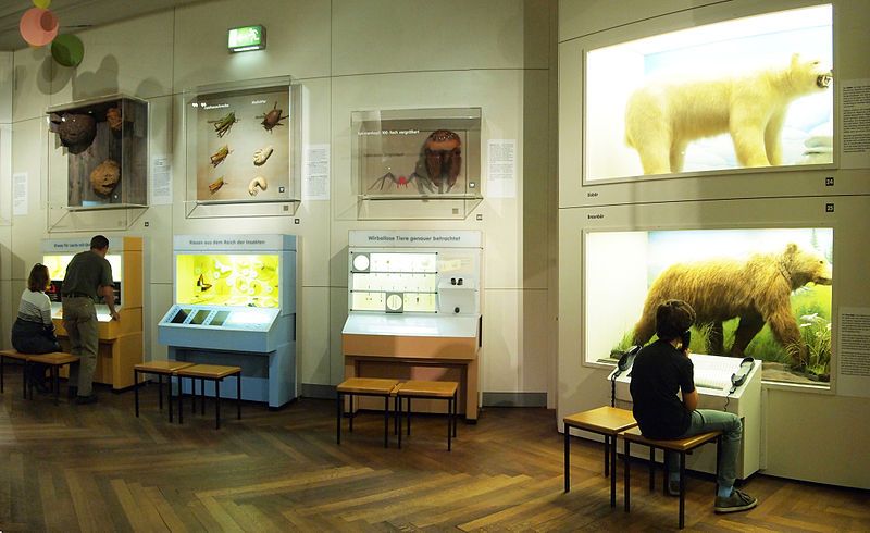 5 Museum Paling Terkenal di Kota Munich, Fasilitas Lebih Modern!