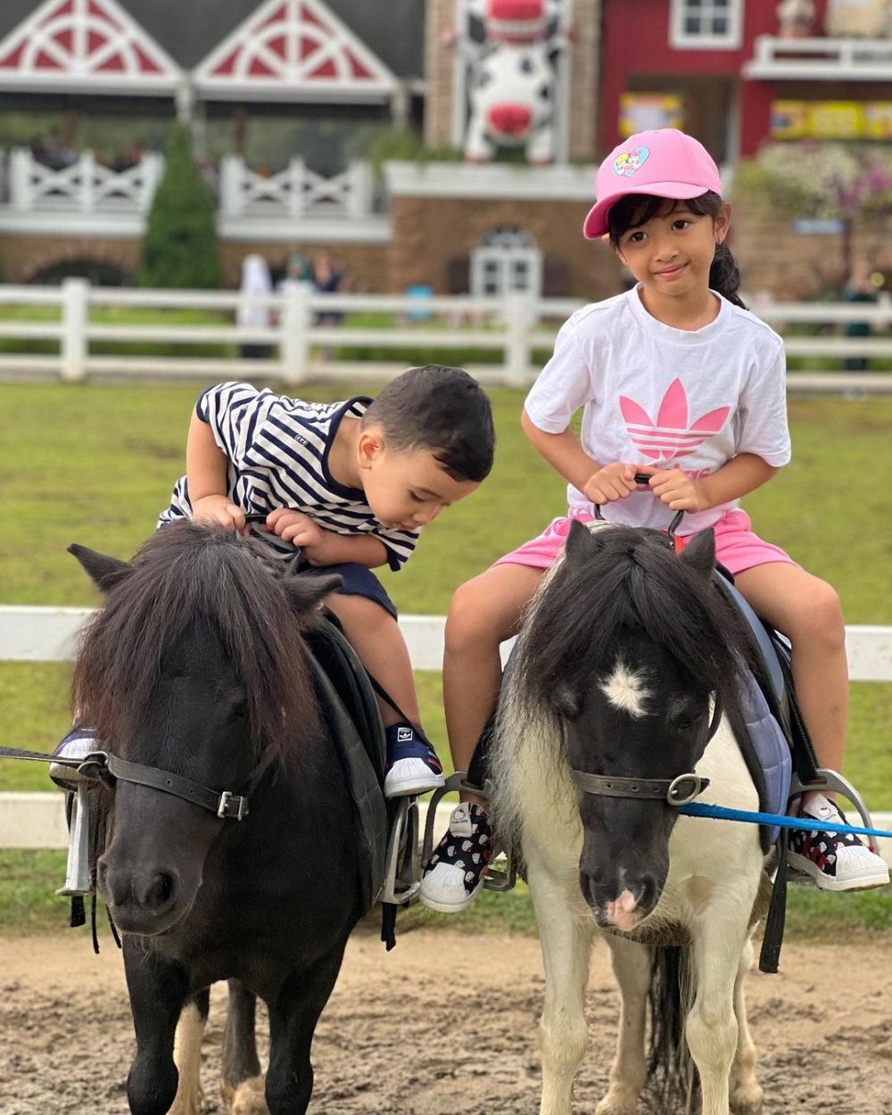 Ukkasya Main ke Cimory Dairyland