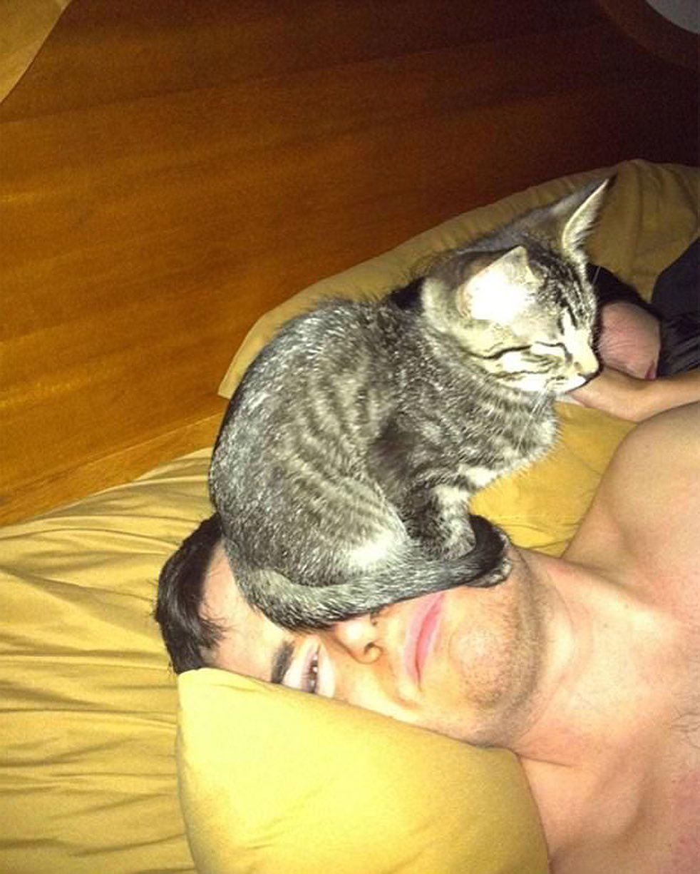 8 Foto Kocak Kucing Tidur di Sembarang Tempat, Pewe Abis!