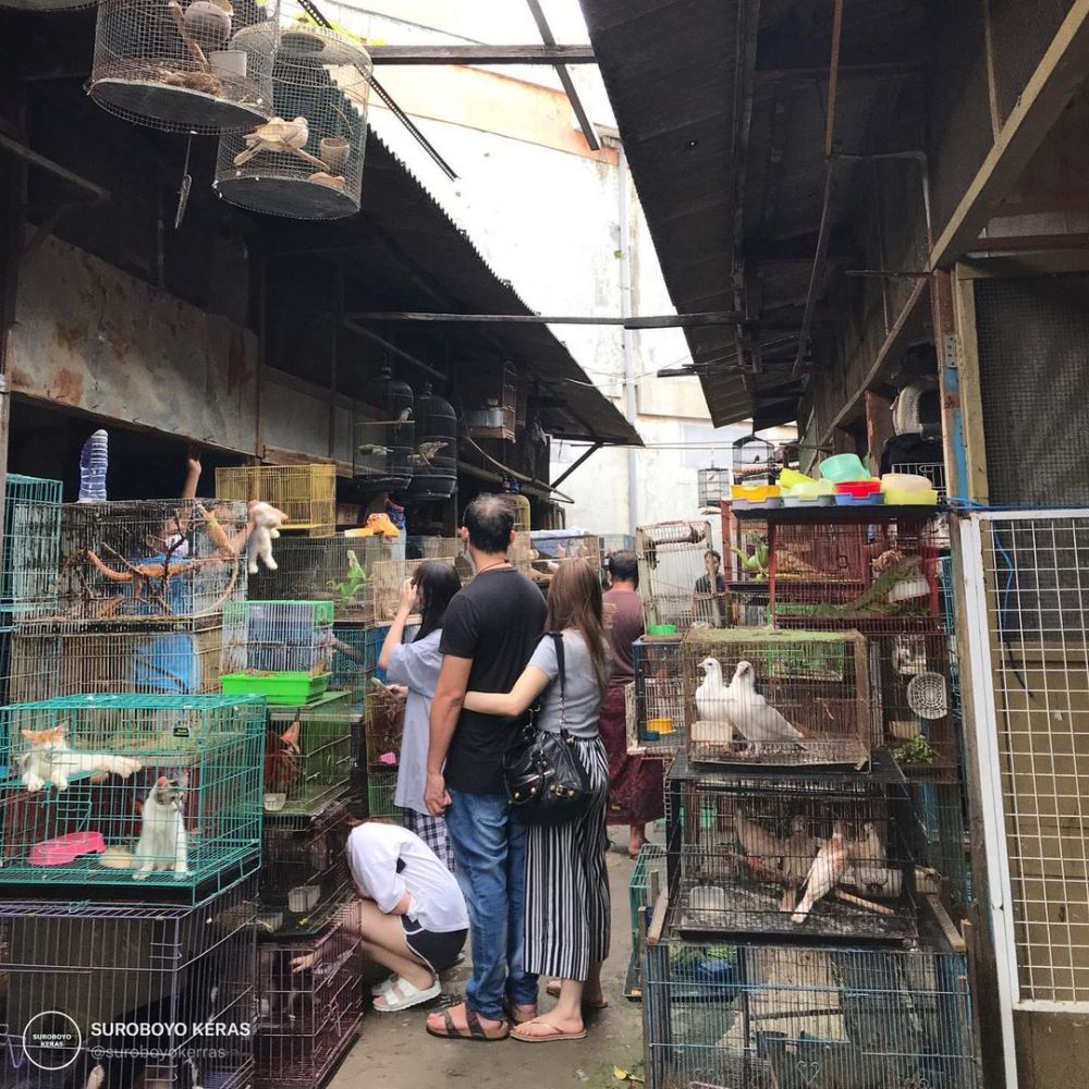 Pasar Bratang Surabaya: Lokasi, Rute dan Jam Buka