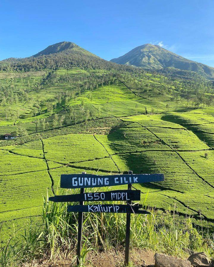 5 Destinasi Wisata Menarik Di Wonosobo, Cocok Jadi Wishlist