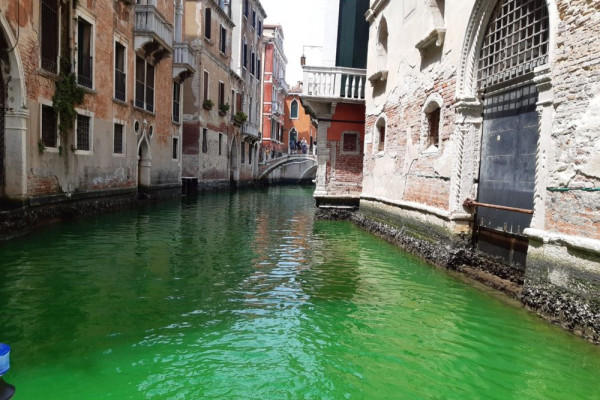 Otoritas Venesia Selidiki Perubahan Air Kanal Menjadi Hijau