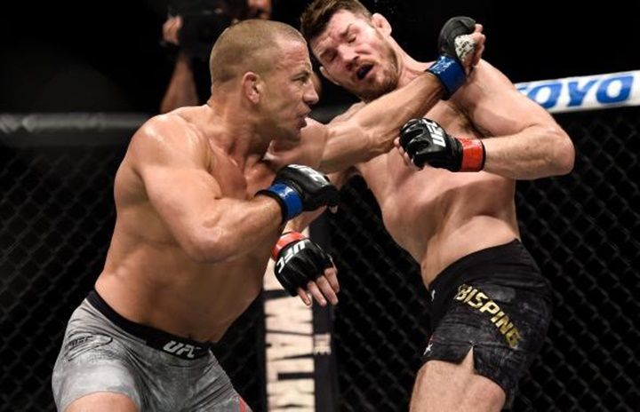 Analisis peluang menang petarung UFC ternama di 2025